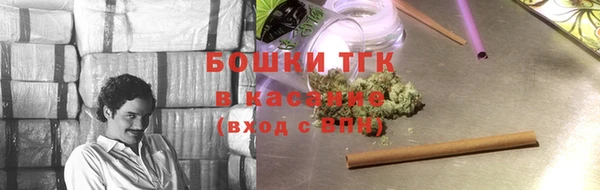 мдпв Богородск