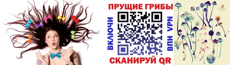 Псилоцибиновые грибы GOLDEN TEACHER  Бузулук 